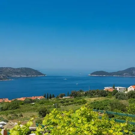 House With A Parking Space Orasac, Dubrovnik - 20328